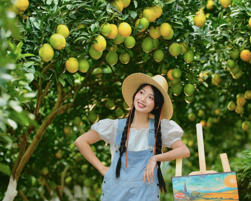 Tại đây, du khách có thể thoải mái đi dạo, chụp hình, tham quan quy trình chăm sóc cam và trải nghiệm tự tay hái những quả chín mọng. Điều khiến nhiều người thích thú là được thưởng thức cam ngay tại gốc, cảm giác tươi ngon, ngọt lành khó thể tìm thấy ở nơi khác. Chị Lê Trần Quỳnh Anh - du khách đến từ Hà Nội - chia sẻ bất ngờ trước quy mô và vẻ đẹp của những vườn cam trên cao nguyên. Với chị, được đứng trong không gian đậm sắc quả, cảm nhận cái se lạnh đầu đông và ngắm nhìn từng chùm cam vàng ươm dưới nắng là một trải nghiệm quý giá.