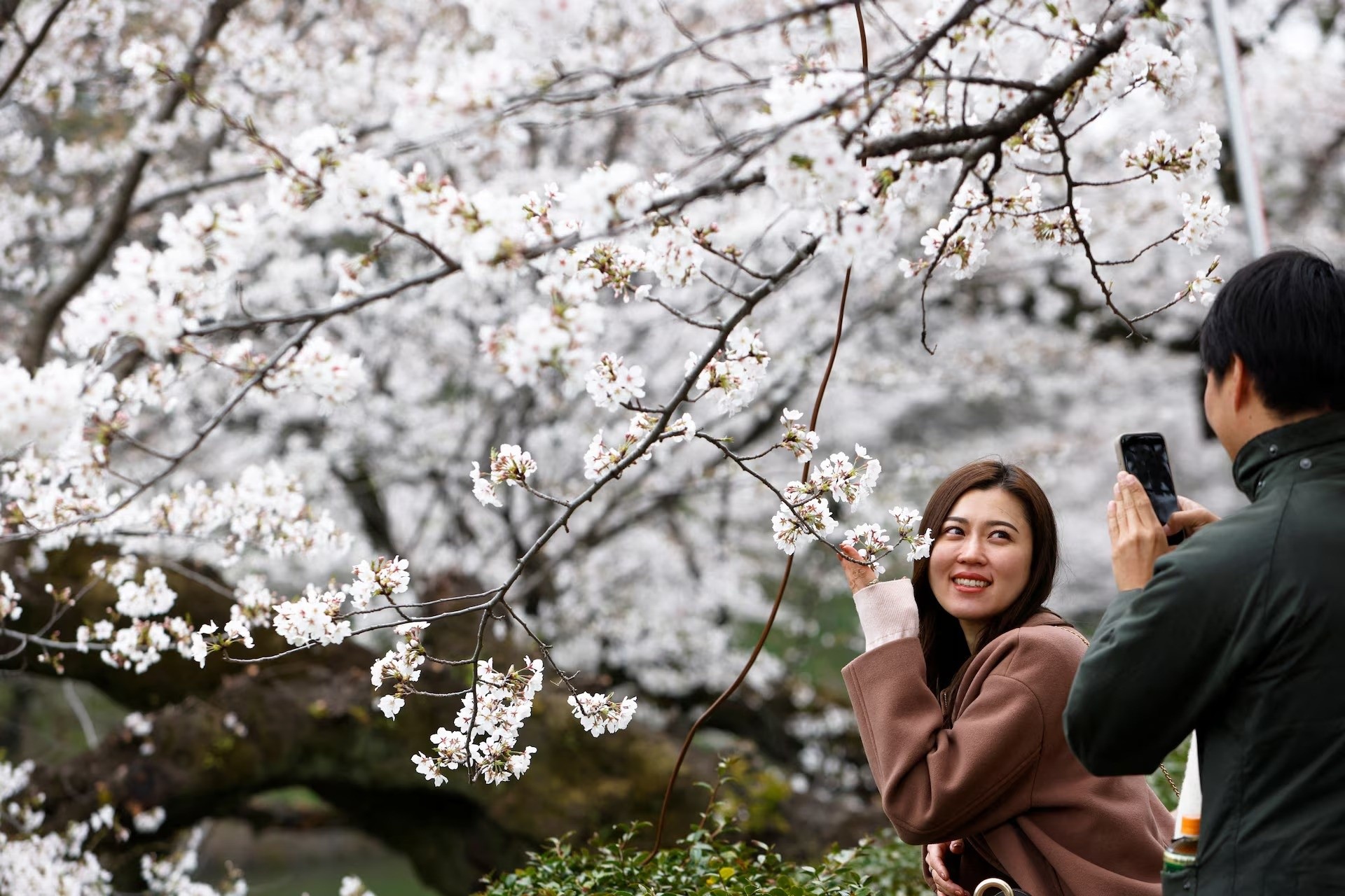 Du khách chụp ảnh với hoa anh đào tại công viên Chidorigafuchi ở Tokyo, Nhật Bản ngày 31/3. Ảnh: Manami Yamada/Reuters.