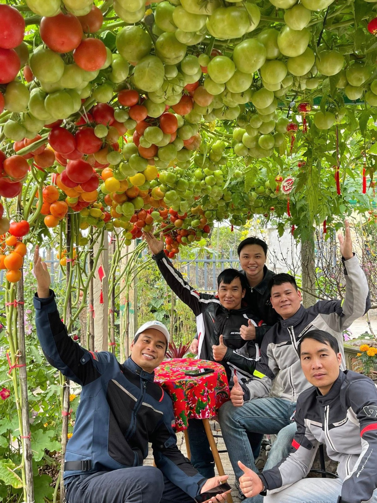 Một nhóm khách từ Thanh Miện, Hải Dương tới tham quan vườn.