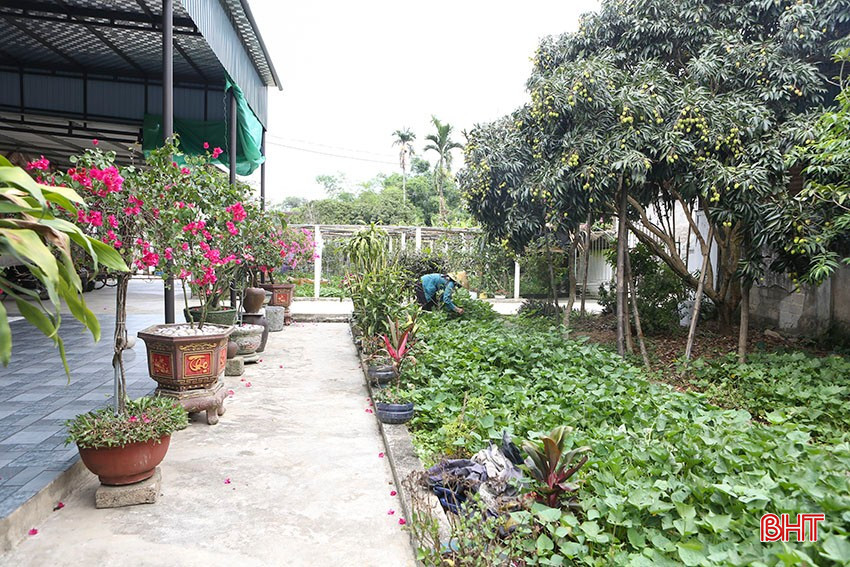 Không gian khu vườn mẫu xanh mát cho hiệu quả kinh tế khá của gia đình ông Nguyễn Đình Tý (xã Khánh Vĩnh Yên, Can Lộc). bqbht_br_a3.jpg