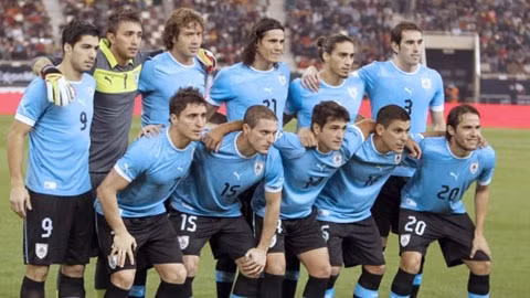 Tổng quan về Copa America 2015 ảnh 5