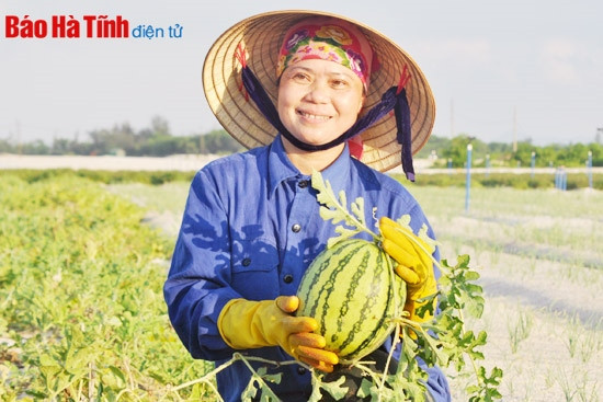 Tháng 6 ở vùng bãi ngang ảnh 1