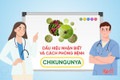 [Motion Graphics] Dấu hiệu nhận biết và cách phòng bệnh Chikungunya