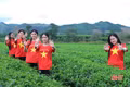 Trải nghiệm đồi chè Hương Đô