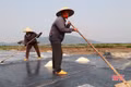 Nắng gay gắt, diêm dân tích cực bám đồng sản xuất