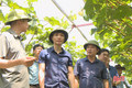 Nam thanh niên trồng thành công nho quý tộc trên đất Mai Hoa