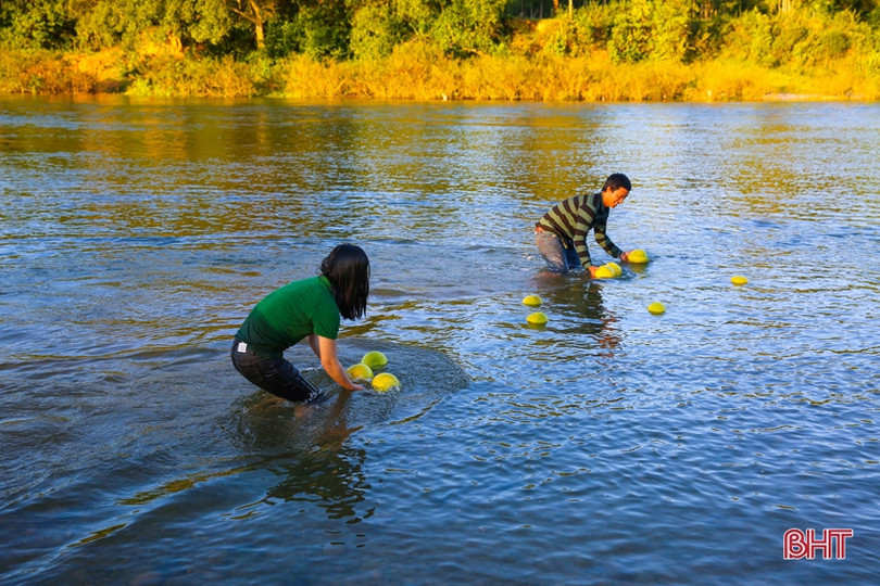Xao xuyến bộ ảnh vợ chồng trẻ Hà Tĩnh “cõng” bưởi Phúc Trạch qua sông