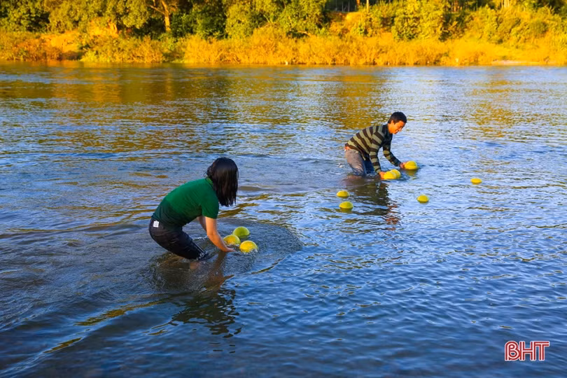 Xao xuyến bộ ảnh vợ chồng trẻ Hà Tĩnh “cõng” bưởi Phúc Trạch qua sông