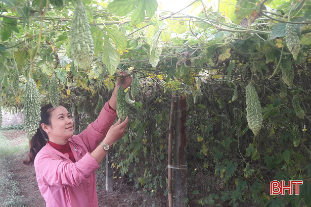 Kiểm tra 28 mẫu rau củ tại Hà Tĩnh, tất cả đều đạt an toàn thực phẩm