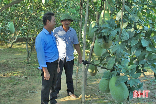 Thạch Hà huy động 356.297 ngày công làm vườn mẫu, khu dân cư kiểu mẫu