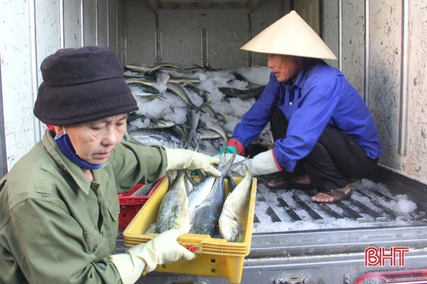 Ngư dân yên tâm vươn khơi đánh bắt, cần gì hậu cần nghề cá sẽ lo!