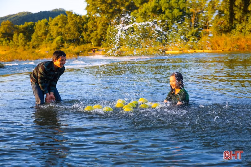 Xao xuyến bộ ảnh vợ chồng trẻ Hà Tĩnh “cõng” bưởi Phúc Trạch qua sông
