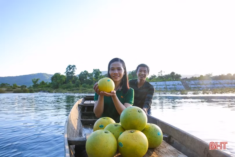Xao xuyến bộ ảnh vợ chồng trẻ Hà Tĩnh “cõng” bưởi Phúc Trạch qua sông
