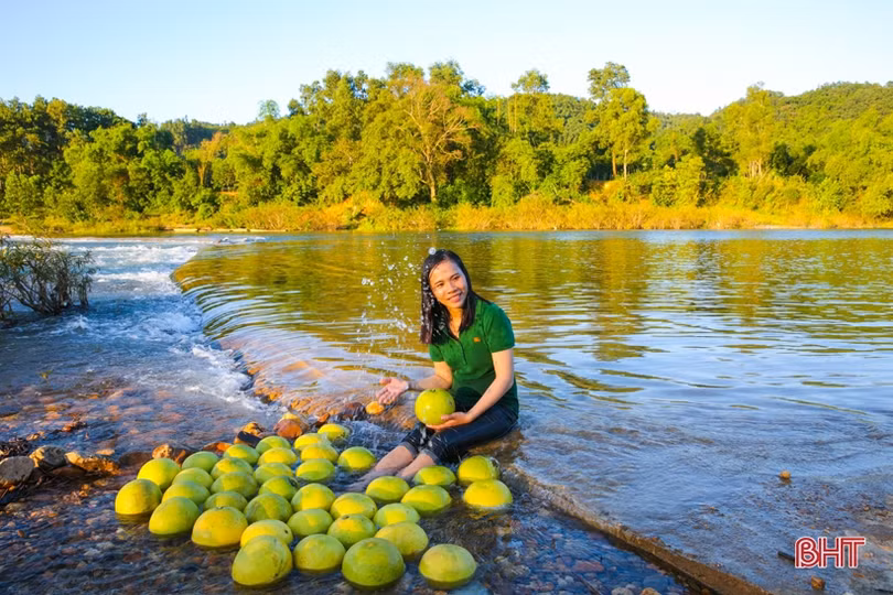 Xao xuyến bộ ảnh vợ chồng trẻ Hà Tĩnh “cõng” bưởi Phúc Trạch qua sông
