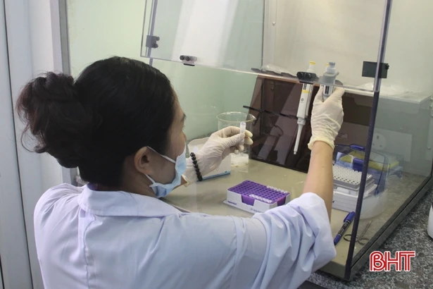 Nhập tôm bố mẹ từ Singapore, người nuôi Hà Tĩnh quyết giành thắng lợi lớn