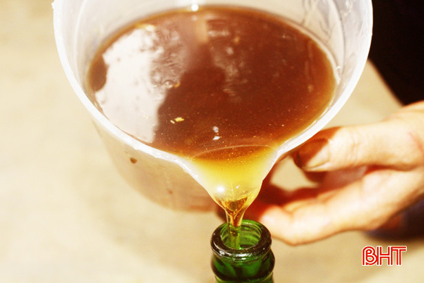 Thu trên 50 tấn mật, người nuôi ong Vũ Quang thắng lớn