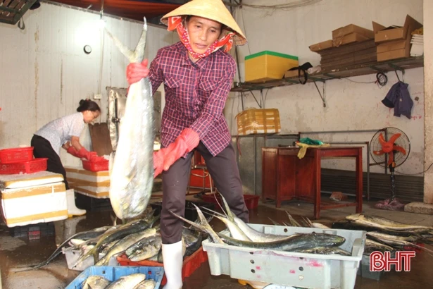 Ngư dân yên tâm vươn khơi đánh bắt, cần gì hậu cần nghề cá sẽ lo!