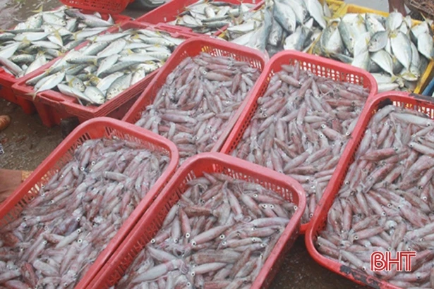 Ngư dân yên tâm vươn khơi đánh bắt, cần gì hậu cần nghề cá sẽ lo!