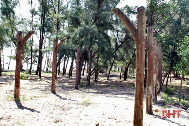 Nhếch nhác quán hàng tại bãi tắm Xuân Thành