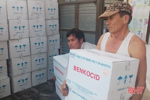 Hỗ trợ 40 tấn hóa chất sát trùng Chlorine phòng chống dịch bệnh thủy sản