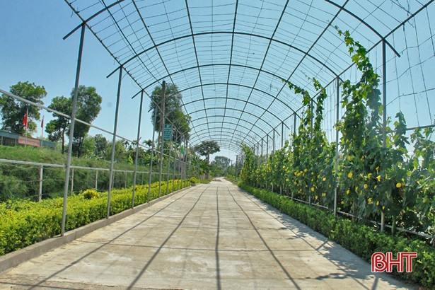 Thạch Hà huy động 356.297 ngày công làm vườn mẫu, khu dân cư kiểu mẫu