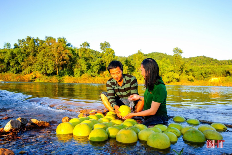 Xao xuyến bộ ảnh vợ chồng trẻ Hà Tĩnh “cõng” bưởi Phúc Trạch qua sông