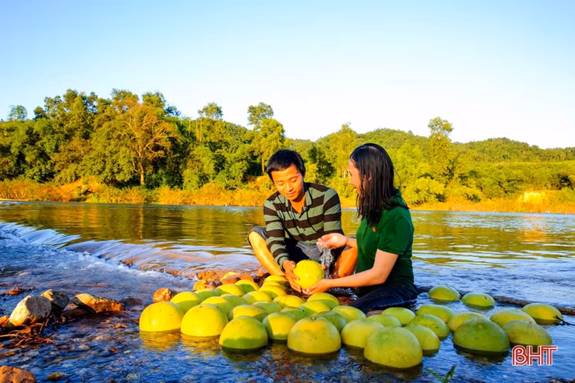 Xao xuyến bộ ảnh vợ chồng trẻ Hà Tĩnh “cõng” bưởi Phúc Trạch qua sông