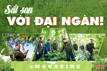 Sắt son với đại ngàn!