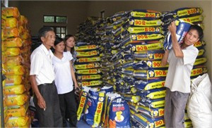 Nhờ chính sách hỗ trợ về giống đã góp phần đảm bảo chỉ tiêu gieo trỉa trong vụ Đông xuân