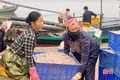Ngư dân vùng biển ngang Hà Tĩnh được mùa tép