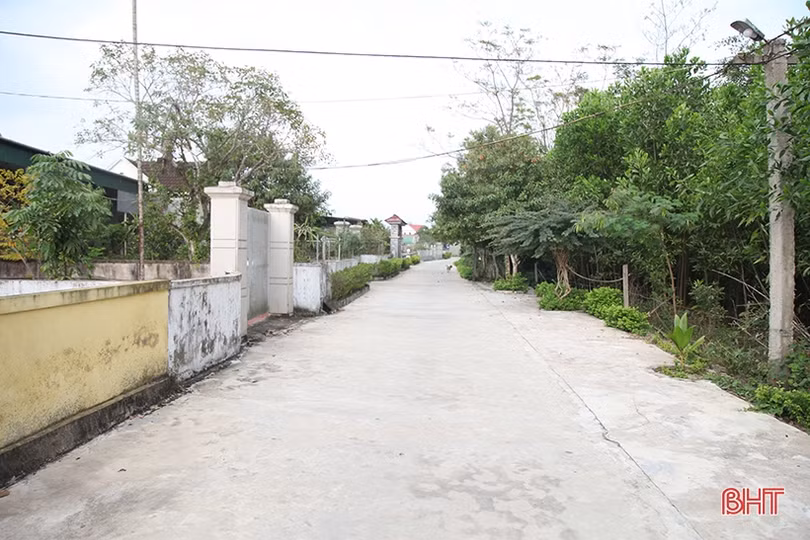 Bờ sông Đập Đình sạt lở, hàng trăm hộ dân ở Trung Lộc lo lắng