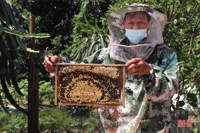 “Chắp cánh” cho mật ong Vũ Quang bay xa