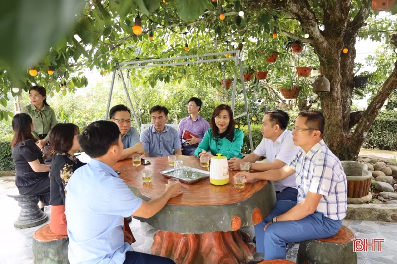 Hiệu quả từ chính sách hỗ trợ phát triển nông nghiệp, nông thôn ở Hà Tĩnh