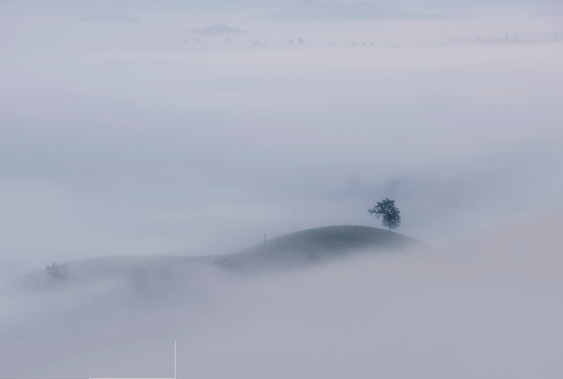 Lạc bước chốn tiên cảnh tuyệt đẹp tại đồi chè Long Cốc