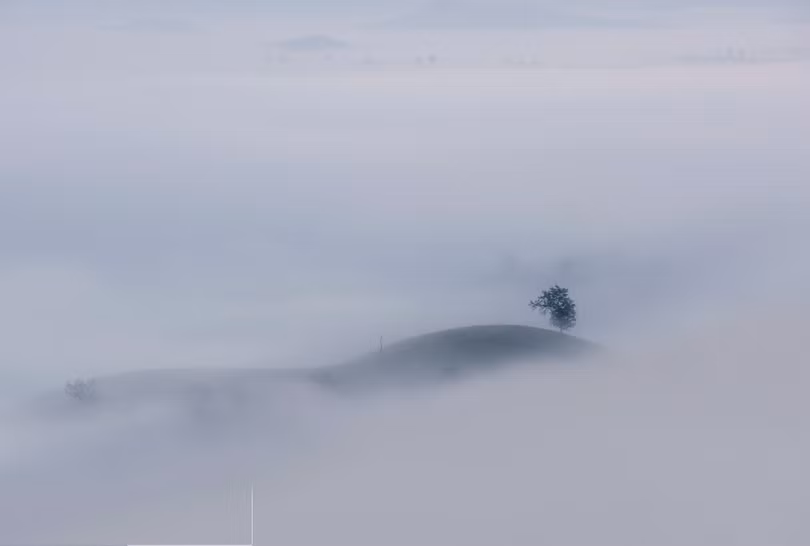 Lạc bước chốn tiên cảnh tuyệt đẹp tại đồi chè Long Cốc