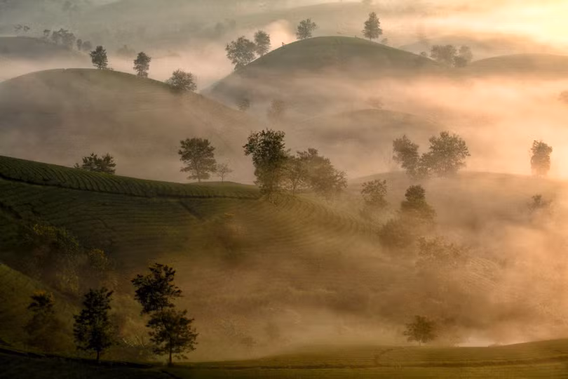 Lạc bước chốn tiên cảnh tuyệt đẹp tại đồi chè Long Cốc