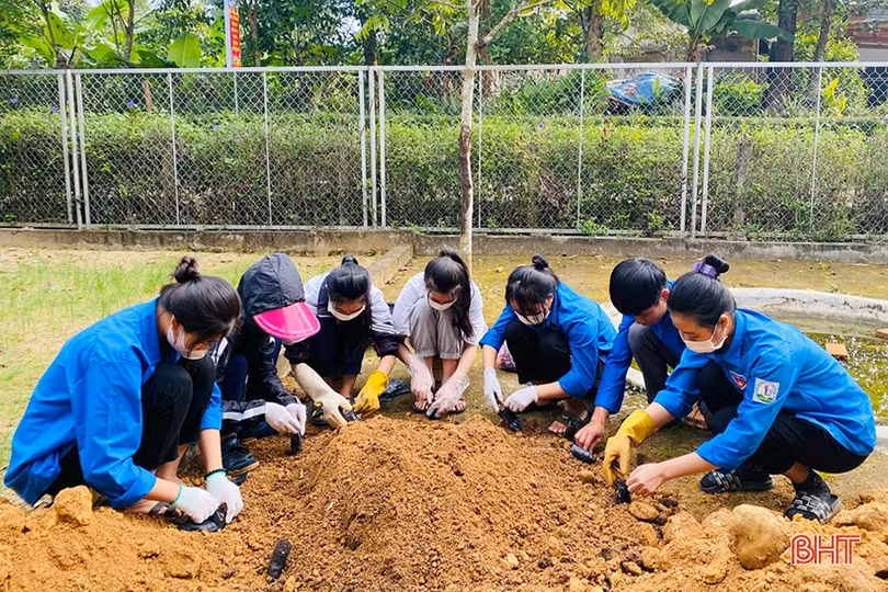 Tuổi trẻ Hà Tĩnh đồng loạt ra quân tình nguyện mùa Đông - Xuân tình nguyện