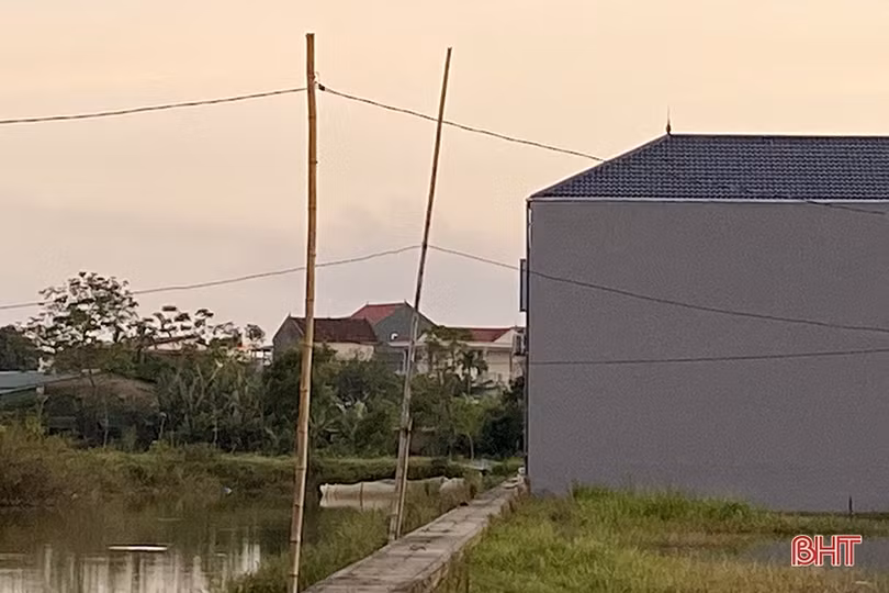 Đường điện dựng bằng cọc tre trong khu quy hoạch Đồng Xay ở TP Hà Tĩnh