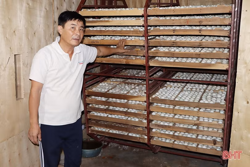Xây dựng thương hiệu OCOP cho trứng vịt lộn ở Cẩm Xuyên
