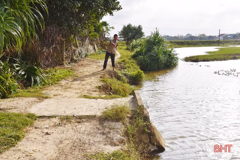 Cần sớm nâng cấp tuyến đê “36 năm tuổi” ở Lộc Hà