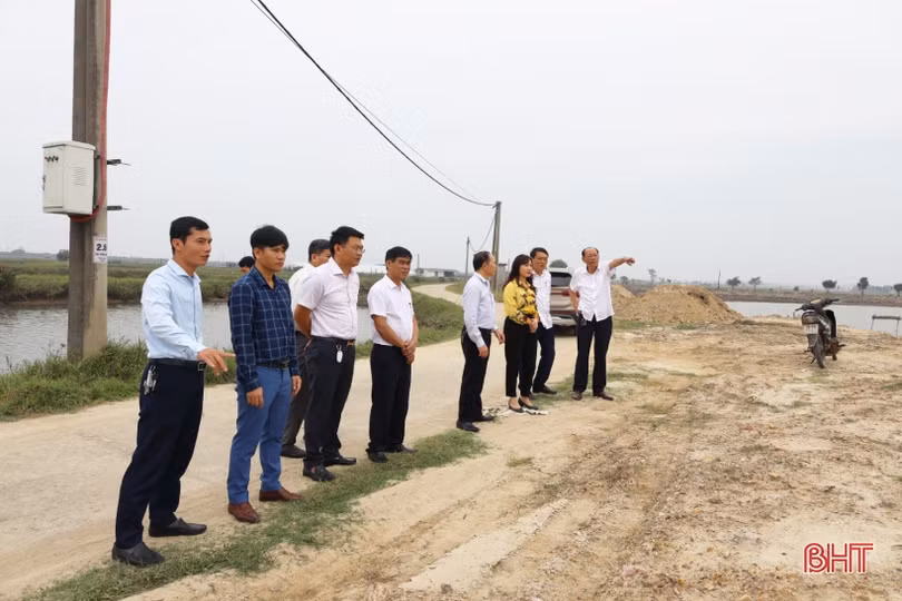 Hiệu quả từ chính sách hỗ trợ phát triển nông nghiệp, nông thôn ở Hà Tĩnh