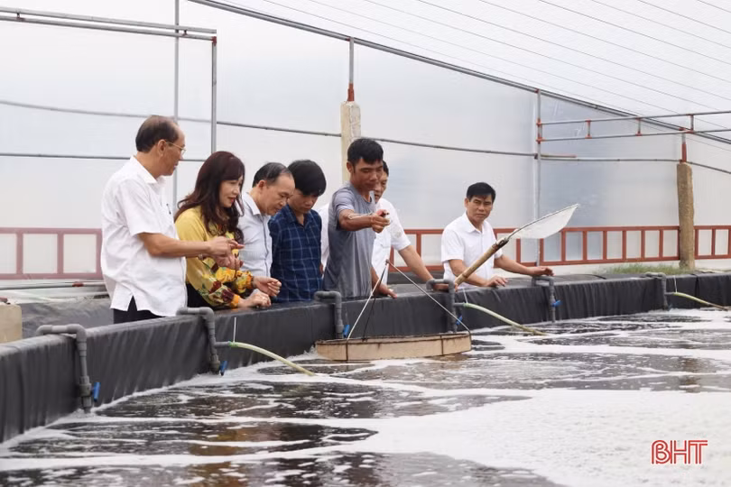 Hiệu quả từ chính sách hỗ trợ phát triển nông nghiệp, nông thôn ở Hà Tĩnh