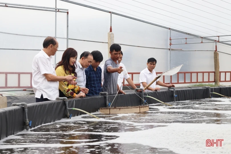 Hiệu quả từ chính sách hỗ trợ phát triển nông nghiệp, nông thôn ở Hà Tĩnh