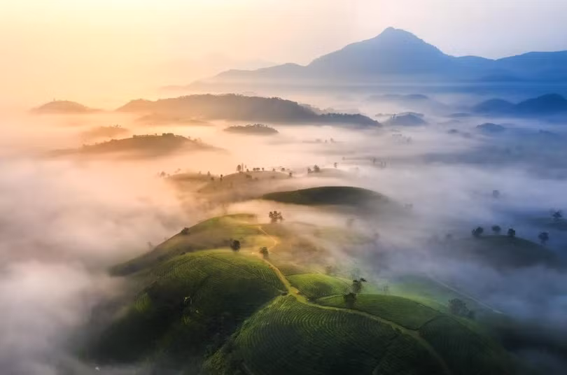 Lạc bước chốn tiên cảnh tuyệt đẹp tại đồi chè Long Cốc