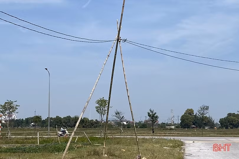 Đường điện dựng bằng cọc tre trong khu quy hoạch Đồng Xay ở TP Hà Tĩnh