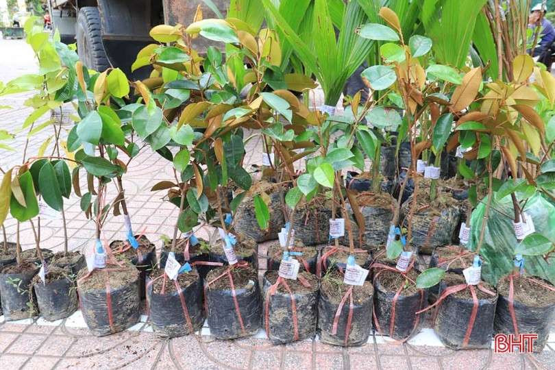 Trao 3.297 cây ăn quả cho hộ nghèo, cận nghèo ở Hương Sơn