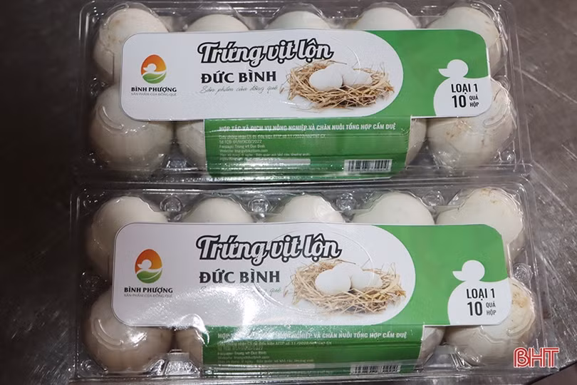 Xây dựng thương hiệu OCOP cho trứng vịt lộn ở Cẩm Xuyên