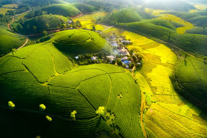 Lạc bước chốn tiên cảnh tuyệt đẹp tại đồi chè Long Cốc