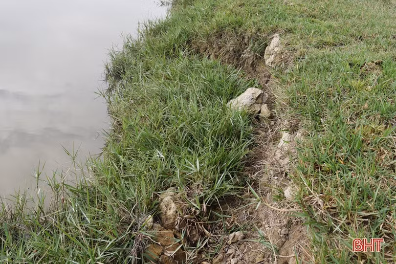 Cần sớm nâng cấp tuyến đê “36 năm tuổi” ở Lộc Hà