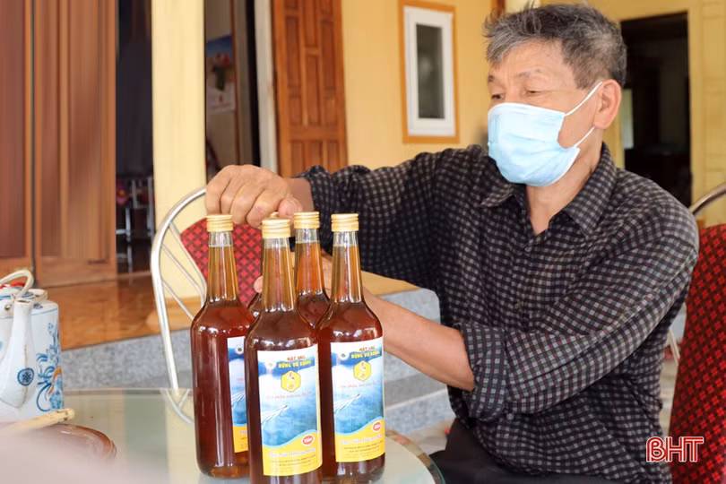 “Chắp cánh” cho mật ong Vũ Quang bay xa
